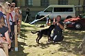 Polizeidirektion   123